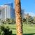 Guard-gated Luxury Home w/Dual Master Beds, CASITA & Golf Course VIEWS 22 thumbnail