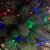CHRISTMAS TREE 7 thumbnail