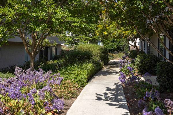Resident Referral Program, Spacious Closets, Swimming Pools 1