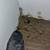 Termite & PEST CONTROL, bugs, roaches, fleas, rodents @ LOW COST 19 thumbnail