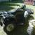 (2)honda atvs.2004 recon,2002 rubicon 500 7 thumbnail