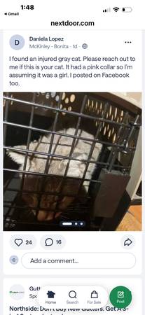 This was on Nextdoor cat pink collar 1