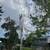 🌿DURAN'S TREE SERVICE LLC🌿 6 thumbnail