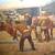LARGE 40"X31" CUSTOM FRAMED FREDERIC REMINGTON PRINT THE PONY EXPRESS 5 thumbnail