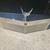 1977 - 1979 cadillac deville e&g  chrome grill 1 thumbnail