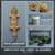 Complete Leopard Gecko Setup – Healthy Gecko + Full Enclosure & Access 1 thumbnail