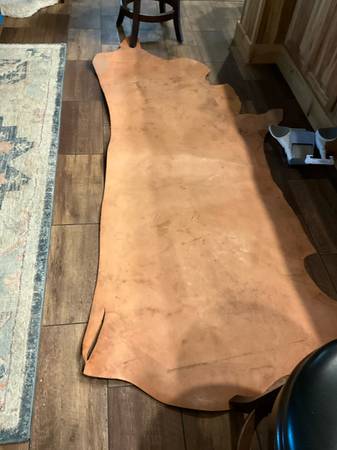 Cow Hide 1