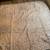 THREE (3) POTTERY BARN BLANKETS - EXCELLENT CONDITION 5 thumbnail
