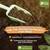 PROFESSIONAL /REMOVAL/ TRIMMING/PLANTING/TREE SERVICES 25% DISCOUNTS 12 thumbnail
