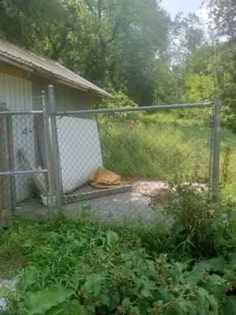 3 sided dog kennel 1