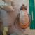 Tiny Handmade Winnie the Pooh stuffed animals 5 thumbnail