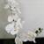 Silk White Orchids 3 thumbnail