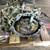 ★2009-2011 NISSAN MAXIMA - AUTOMATIC TRANSMISSION -#M18809★ 3 thumbnail