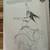Belly Dance Costume Patterns 7 thumbnail