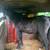 Draft cross mare 1 thumbnail