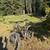 Yeti SB115 Size Large 2 thumbnail