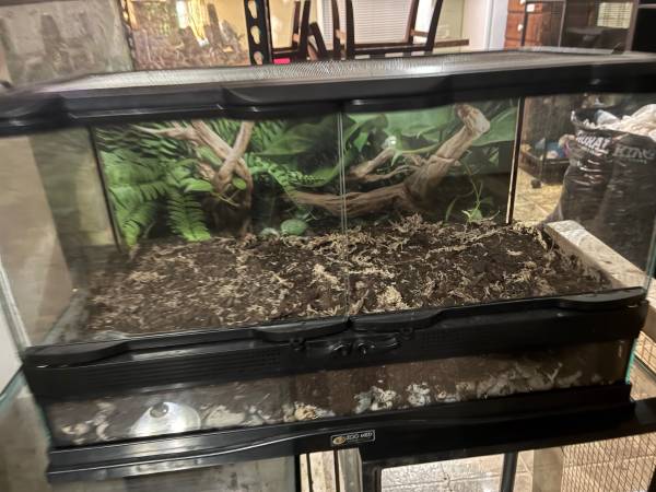 10 gallon reptile tank 1