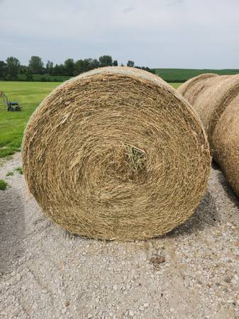 Alfalfa round bales 1