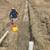 CUSTOM CONCRETE WORK ***DRIVEWAYS**FOUNDATIONS***EXCAVATION** 14 thumbnail