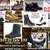 Basketball Sneakers Fubu AND1 NIKE PUMA AVIA T W Flea Market Pensacola 22 thumbnail