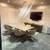 Private Office $609 – Spring Special Ending Soon 4 thumbnail