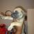 7 week Cane Corso pups 5 thumbnail