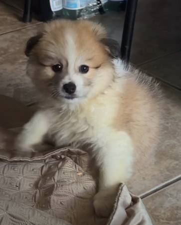 TeDdY 1