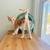 Kittens 2 thumbnail