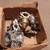 Mini bike parts 3 thumbnail
