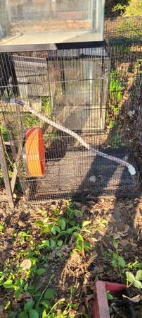Sugar glider cage 1
