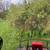 Brush Clearing/Mowing, Driveway Grading, Excavating, Tractor work 8 thumbnail