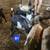 Nigerian Dwarf Goats 3 thumbnail
