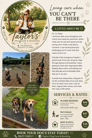 Pet care 1