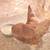 Chickens 2 thumbnail