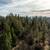 17+ AC WITH VIEWS! BUILDING PAD, WILDLIFE & SOUTHERN EXPOSURE 13 thumbnail