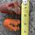 2each rock drill bits 2 thumbnail