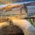 Ball python and bioactive enclosure 4 thumbnail