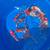Koi fish 2 thumbnail