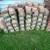 Pavers for sale 1 thumbnail