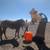 motivated seller!!!!*** Appaloosa 4 yrs old 5 thumbnail