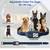 Dog Training Collar 7 thumbnail