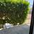 2 Bedrooms 2 Bath Apartment in Palm Springs, CA 16 thumbnail