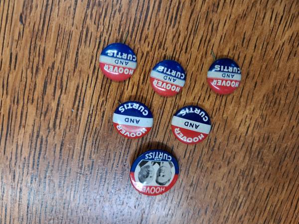 Hoover-Curtiss campaign pins 1