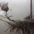 REDUCED ROBERT BATEMAN LIMITED EDITION PRINTS FROM... 1 thumbnail