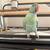 Ringneck 2 thumbnail