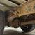 1983 Chevy P30 chassis with Grumman Aluminum Body 18 thumbnail