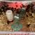 Quail 1 thumbnail