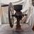 Antique Coffee Grinder 4 thumbnail