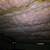 Crawl/Attic Space Restorations 253-320-6344 10 thumbnail