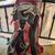 Osprey Poco child carrier 2 thumbnail